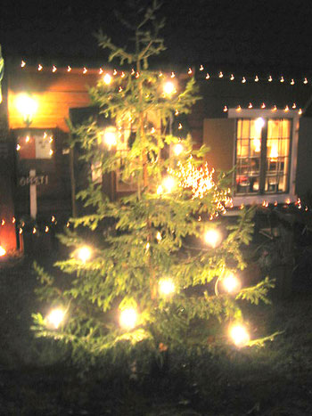 Julgran vid Svindersviks Brygghus