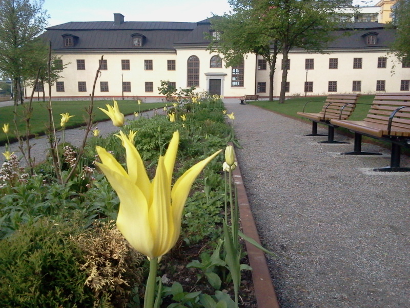 Blomsterrabatt vid Danvikens Hospital