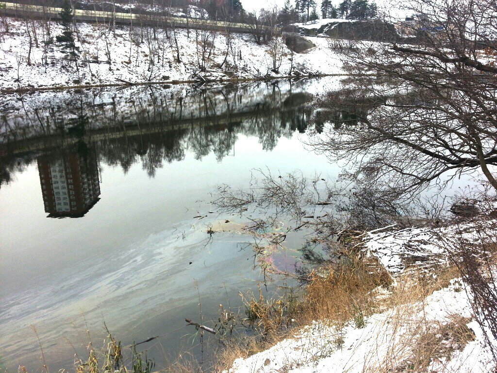 Svindersviken, Nacka: Oljeutsläpp kring bäverbo