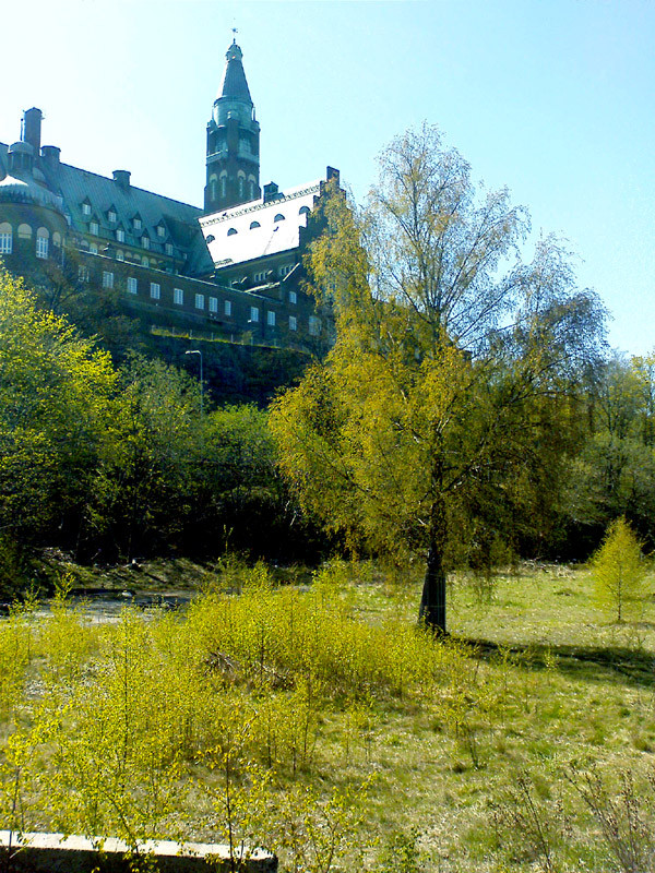 Danvikshem i Nacka sett från Hermansdal