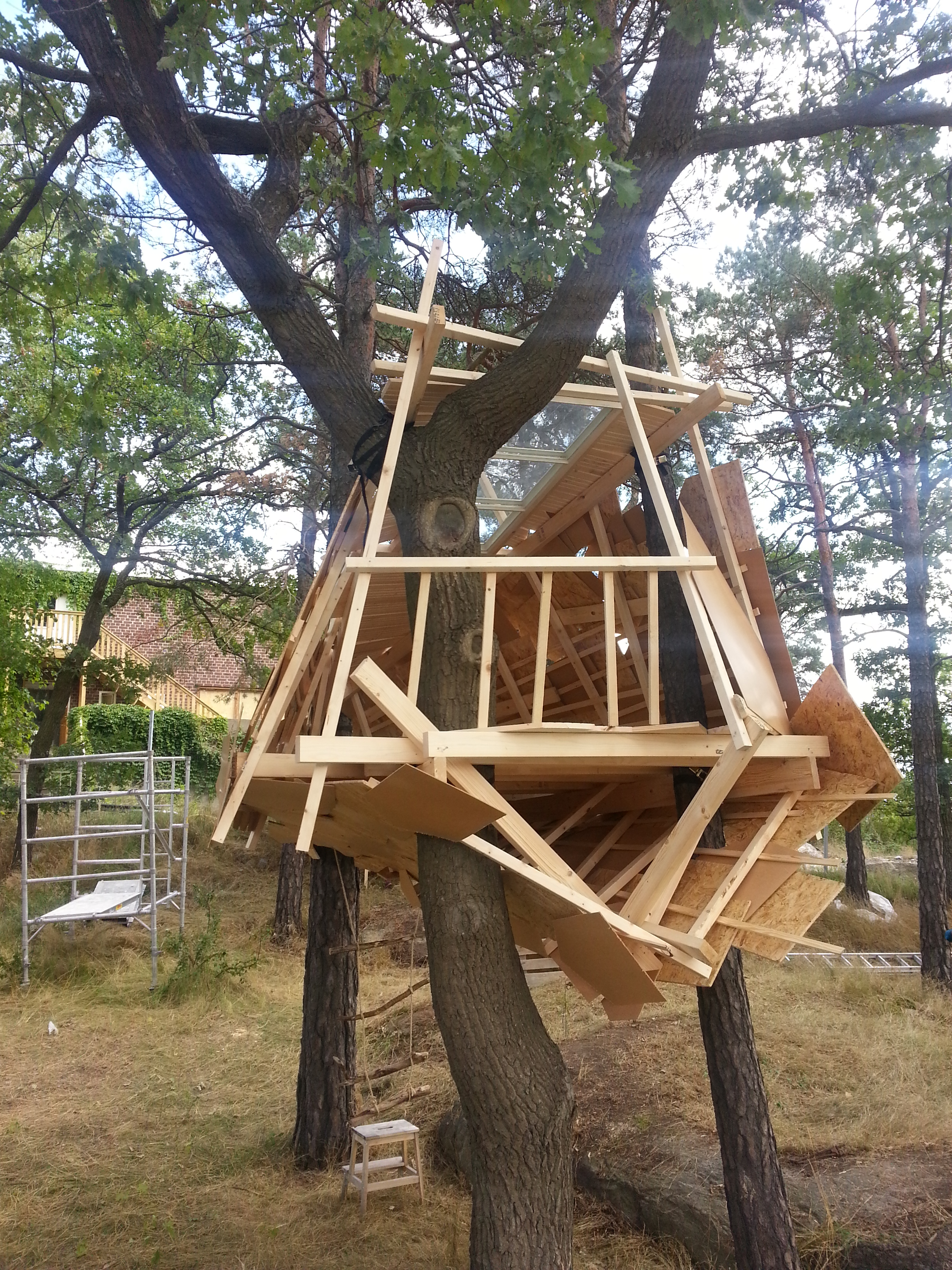 Trädkoja på Kvarnholmen