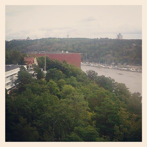 Urskogen Ryssbergen i bakgrunden sedd från Trolldalen i Henriksdal