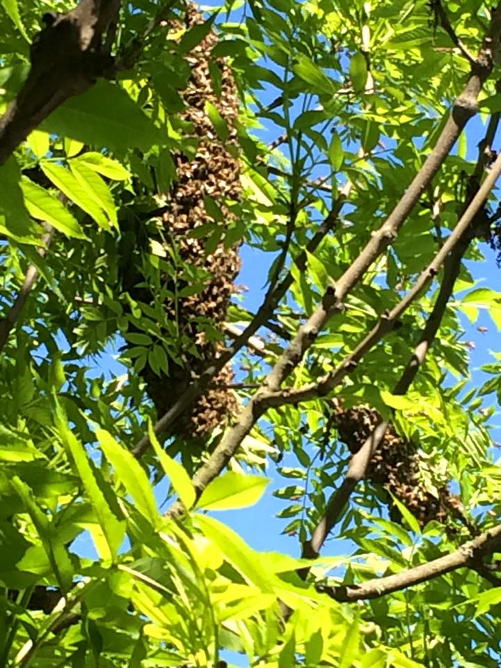 Bin på Svindersviks brygghus i Nacka