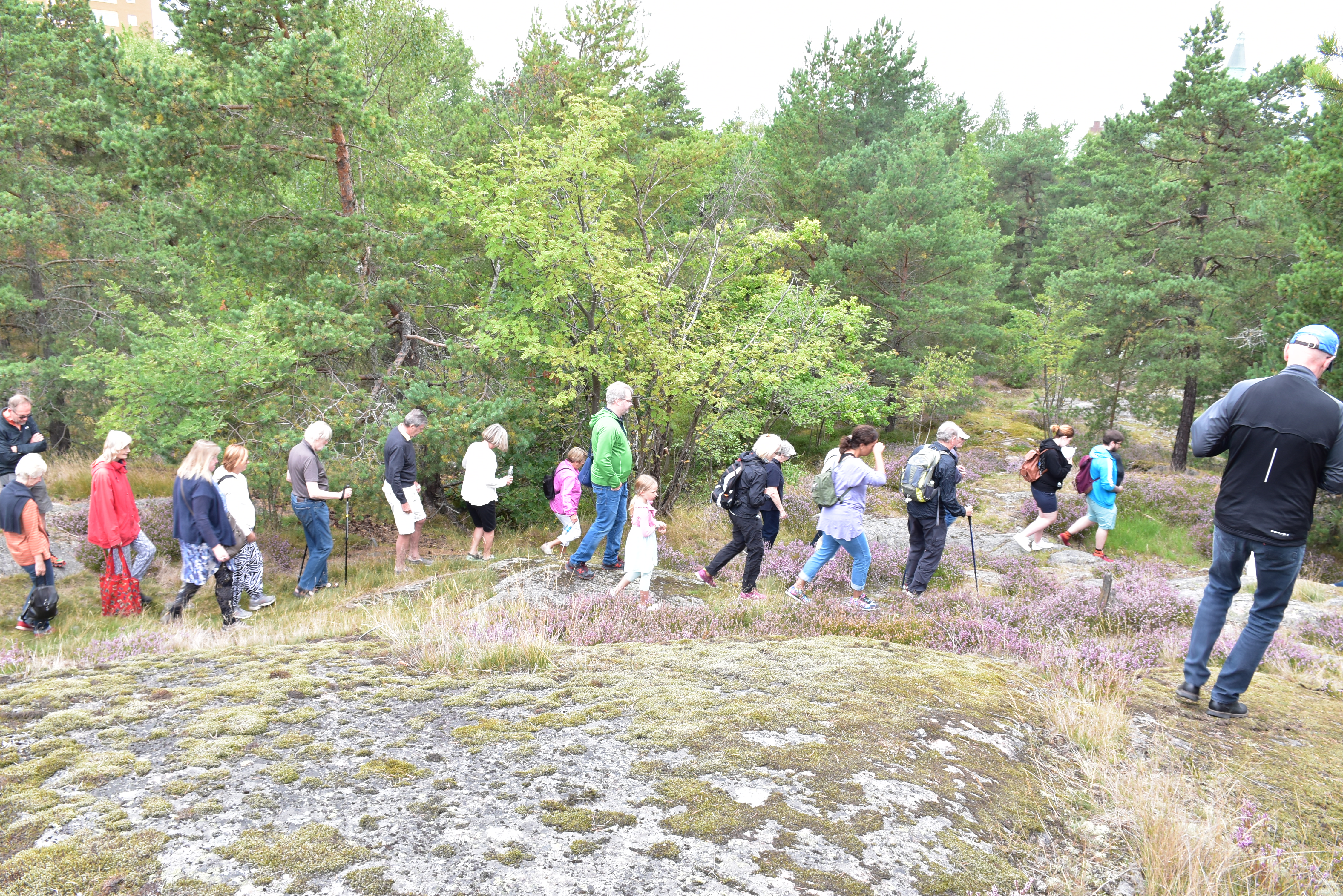 Naturvandrare på huvudstigen i skogen Trolldalen