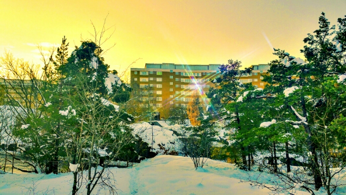 Henriksdalsringen sedd från skogen Trolldalen