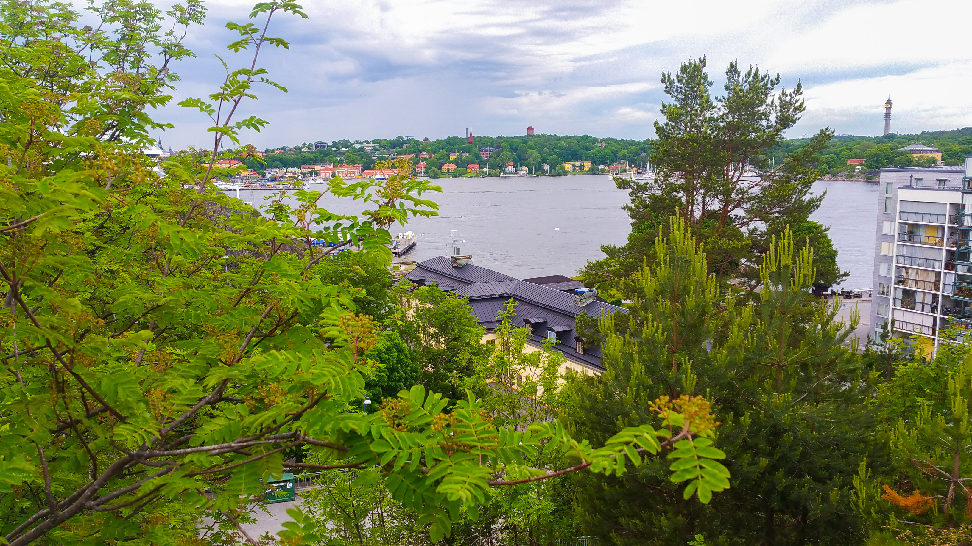 Utsikt från Bageriberget mot Danviks hospital, Djurgården och Saltsjön