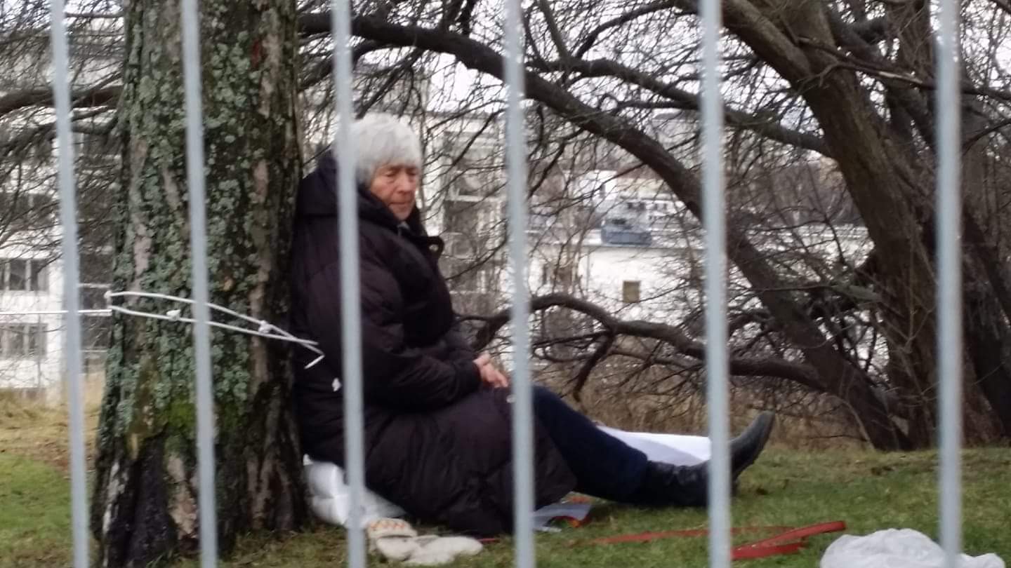 Granne vid seniorboendet bakom Danvikshem kedjar fast sig vid träd