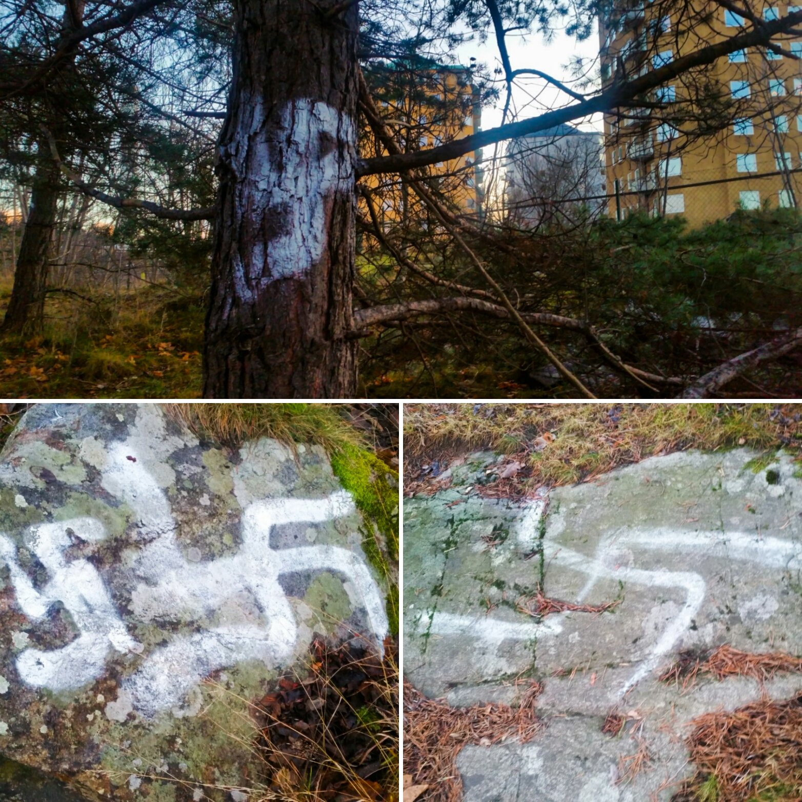 Hakkors på klippor och träd i Bageriberget i Saltsjöqvarn