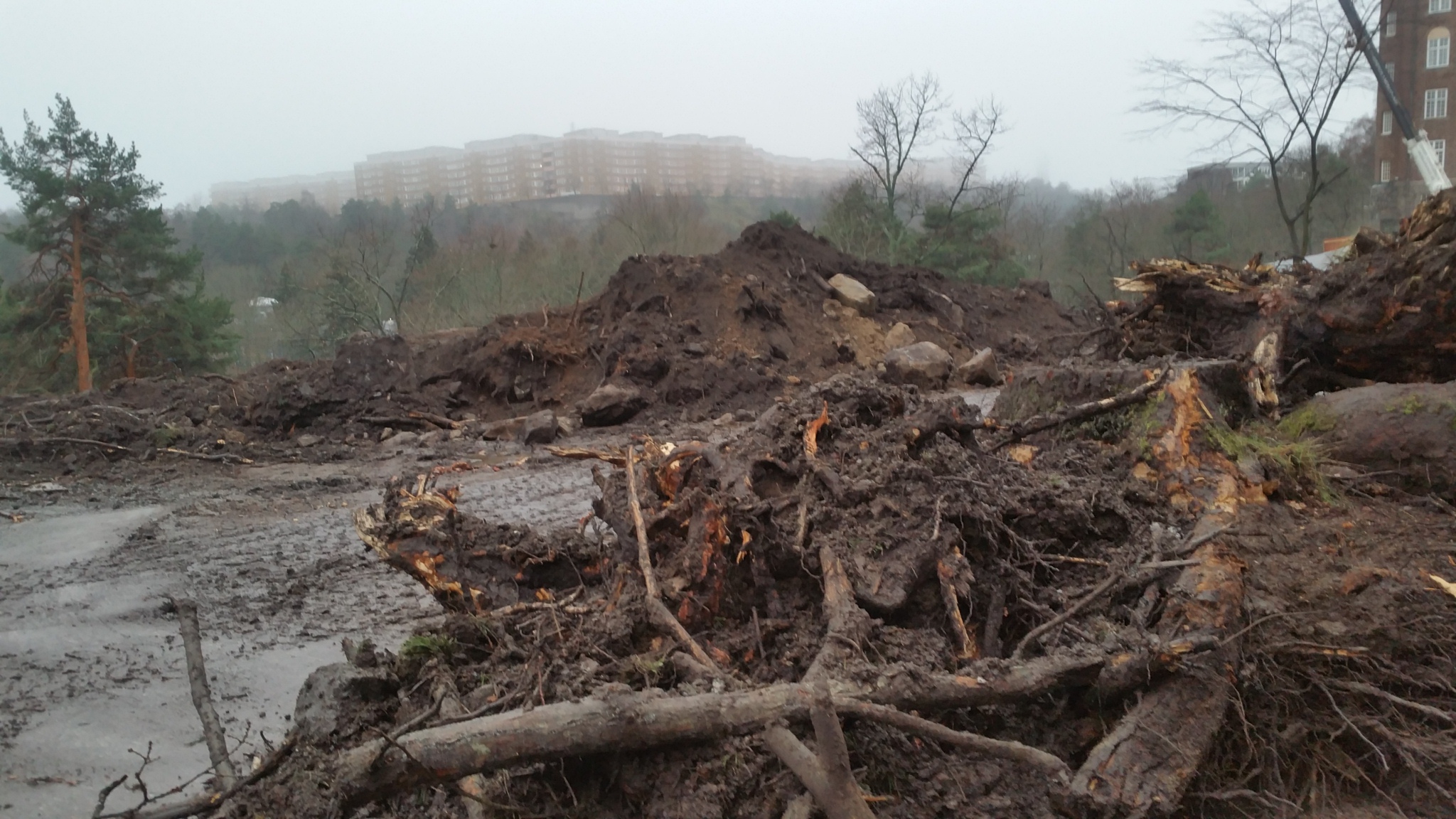HSB och Skanska skövlade Engelska parken mellan Finnboda och Danvikshem