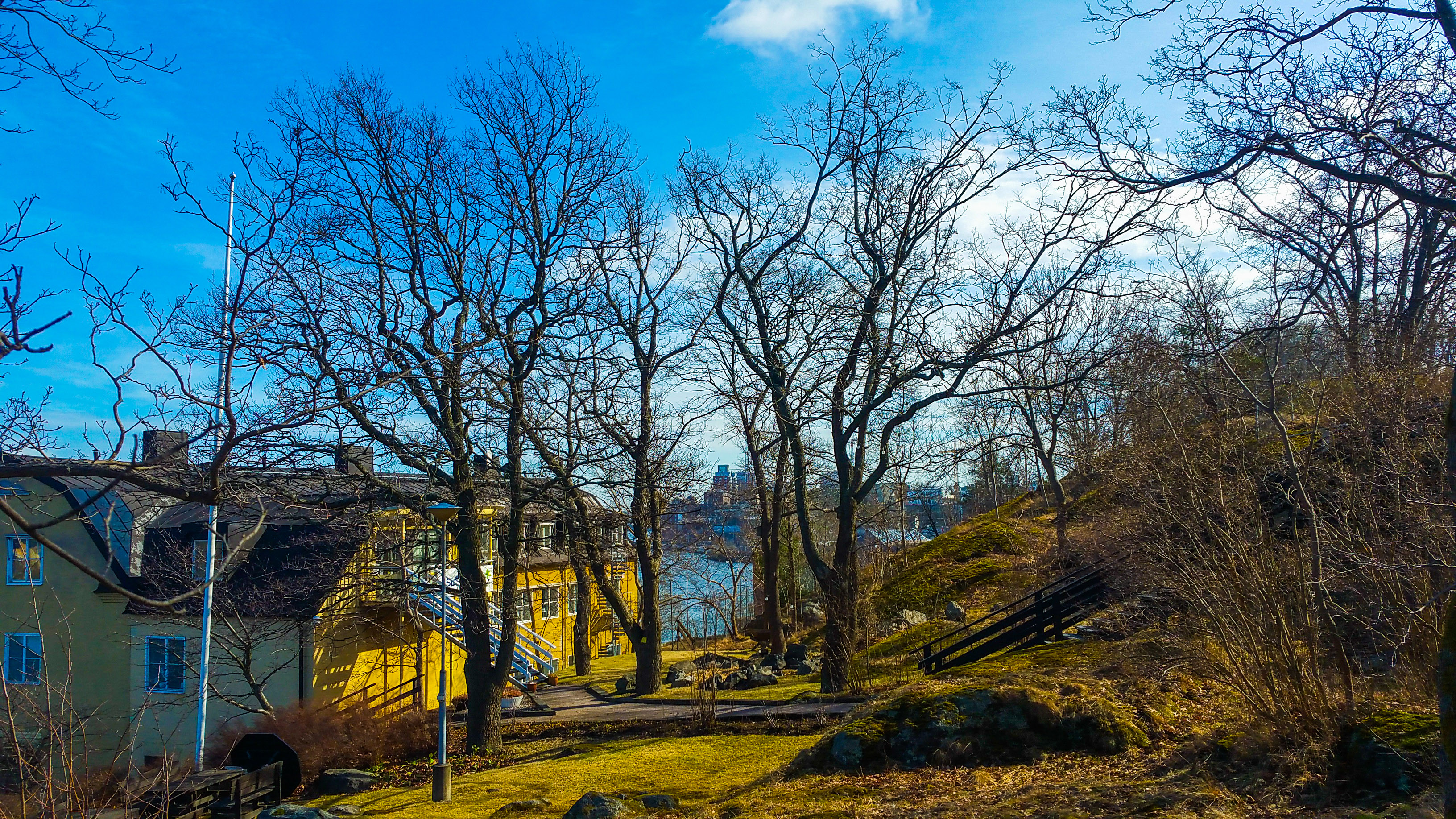 SLG-husets trädgård som kommer att försvinna i samband med bygget av ett bostadshus