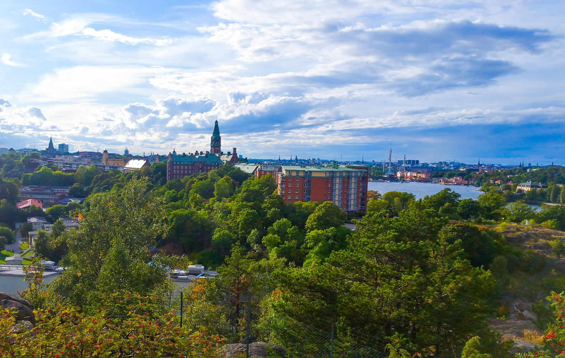 Nu nästan helt förstörda Engelska parken nedanför Danvikshem sett från Skatberget på Finnberget