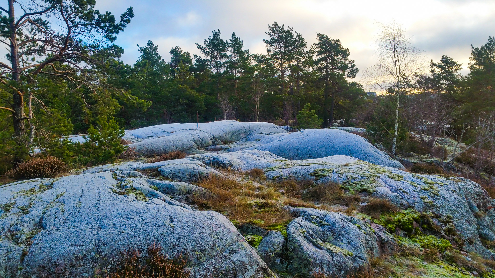 Frosttäckta klippor i nyckelbiotopen Trolldalen på Henriksdalsberget