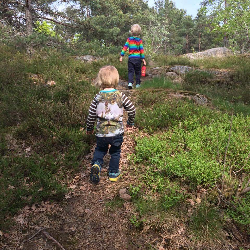 Barnen upptäcker naturen i nyckelbiotopen Trolldalen i Nacka