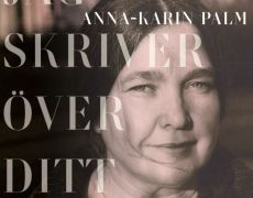 Jag skriver över ditt ansikte - Roman av Anna-Karin Palm