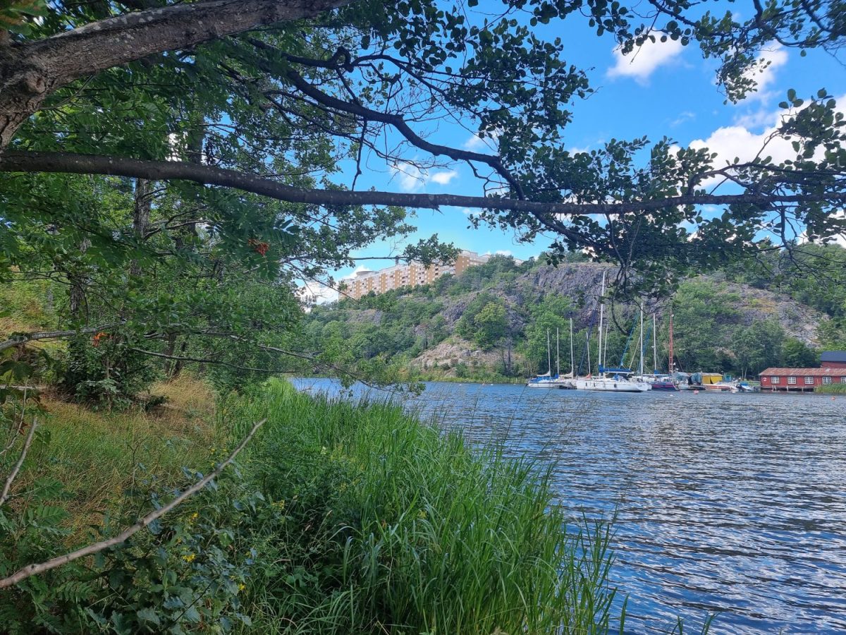 Trolldalen sedd från Svindersviks brygghus