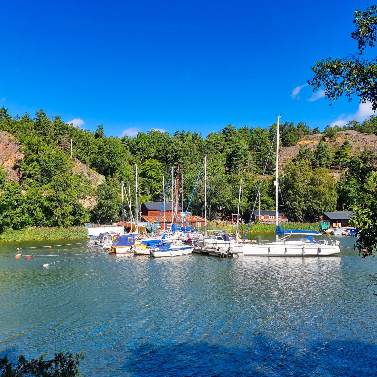 Trolldalen ovanför Svindersviks båtklubb