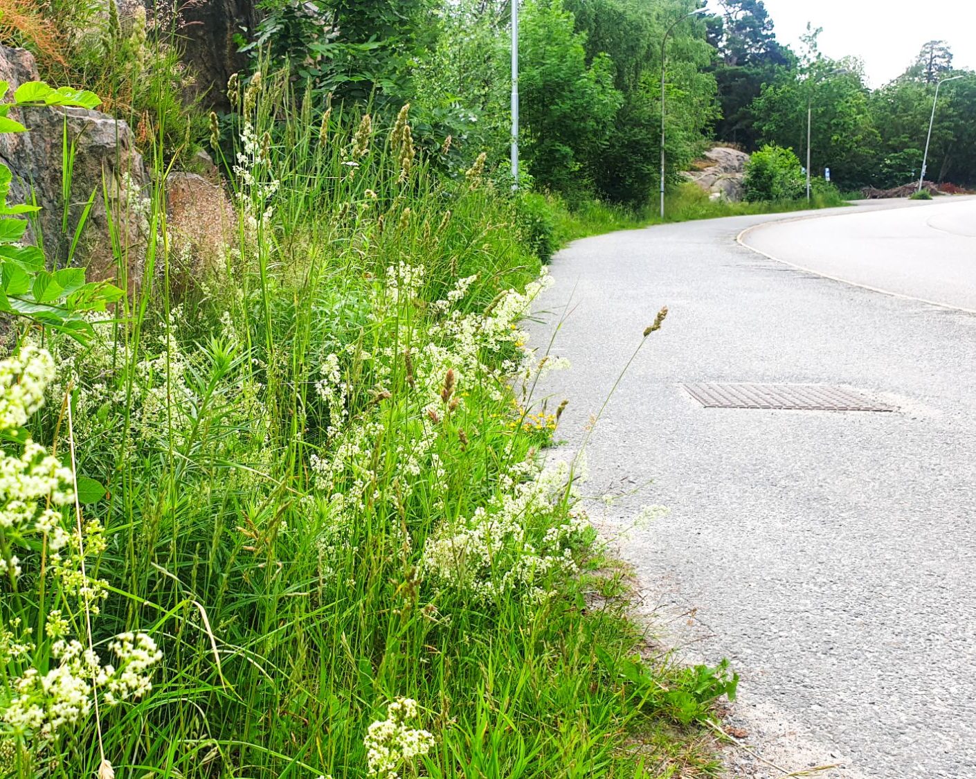 Boende trötta på påståendet att skövlingen av Trolldalen skapar trygghet