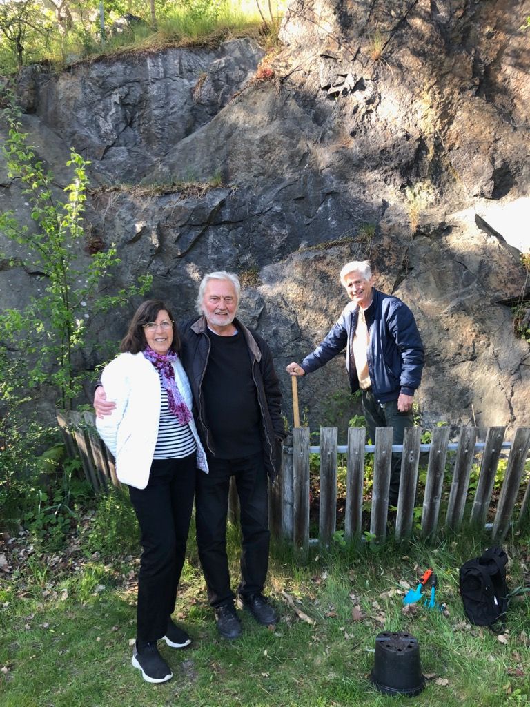 Ingrid Boström och Torbjörn Björnstedt vid Tora Dahls magnolia i Henriksdal