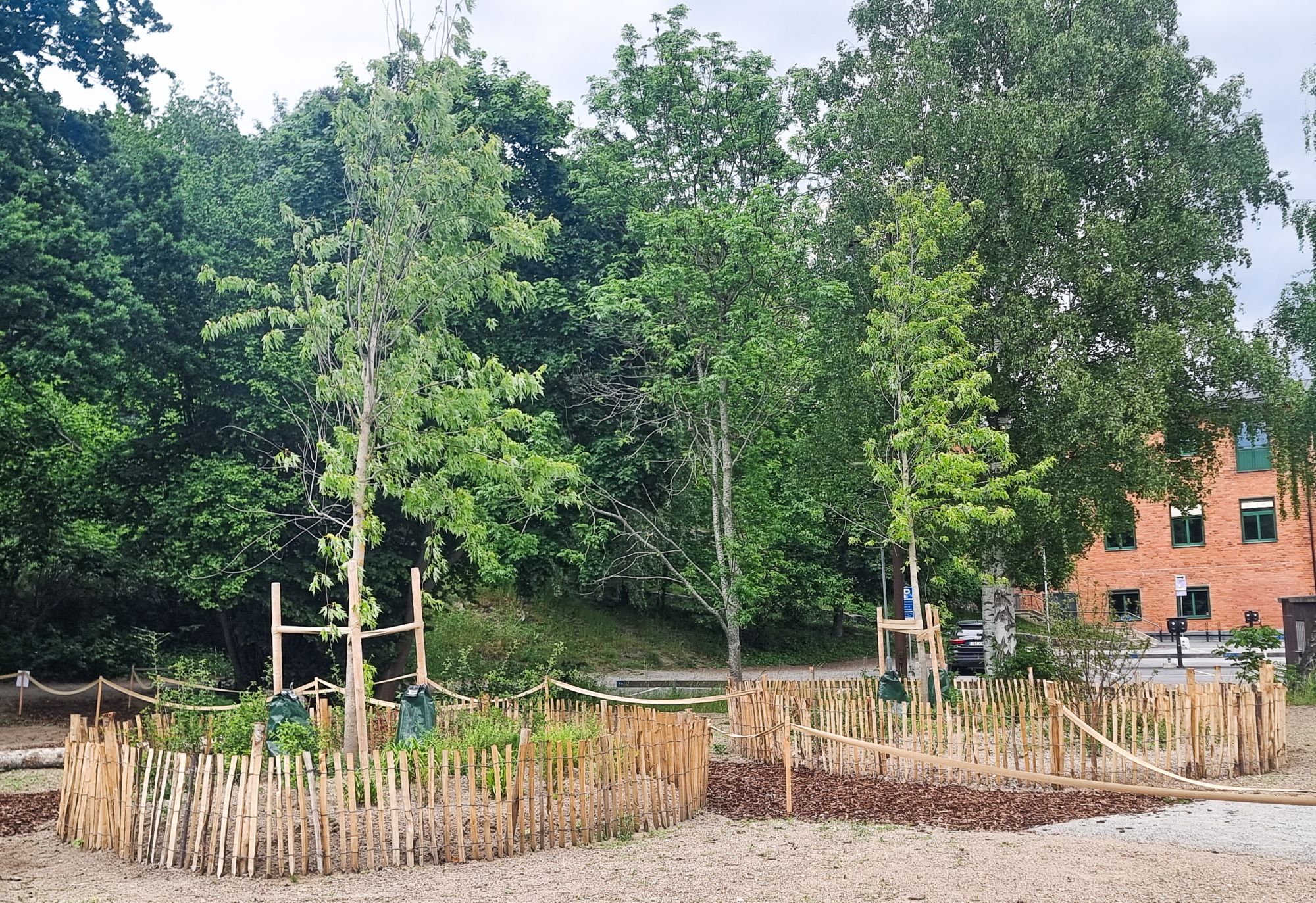 Planteringar på Finnboda äng