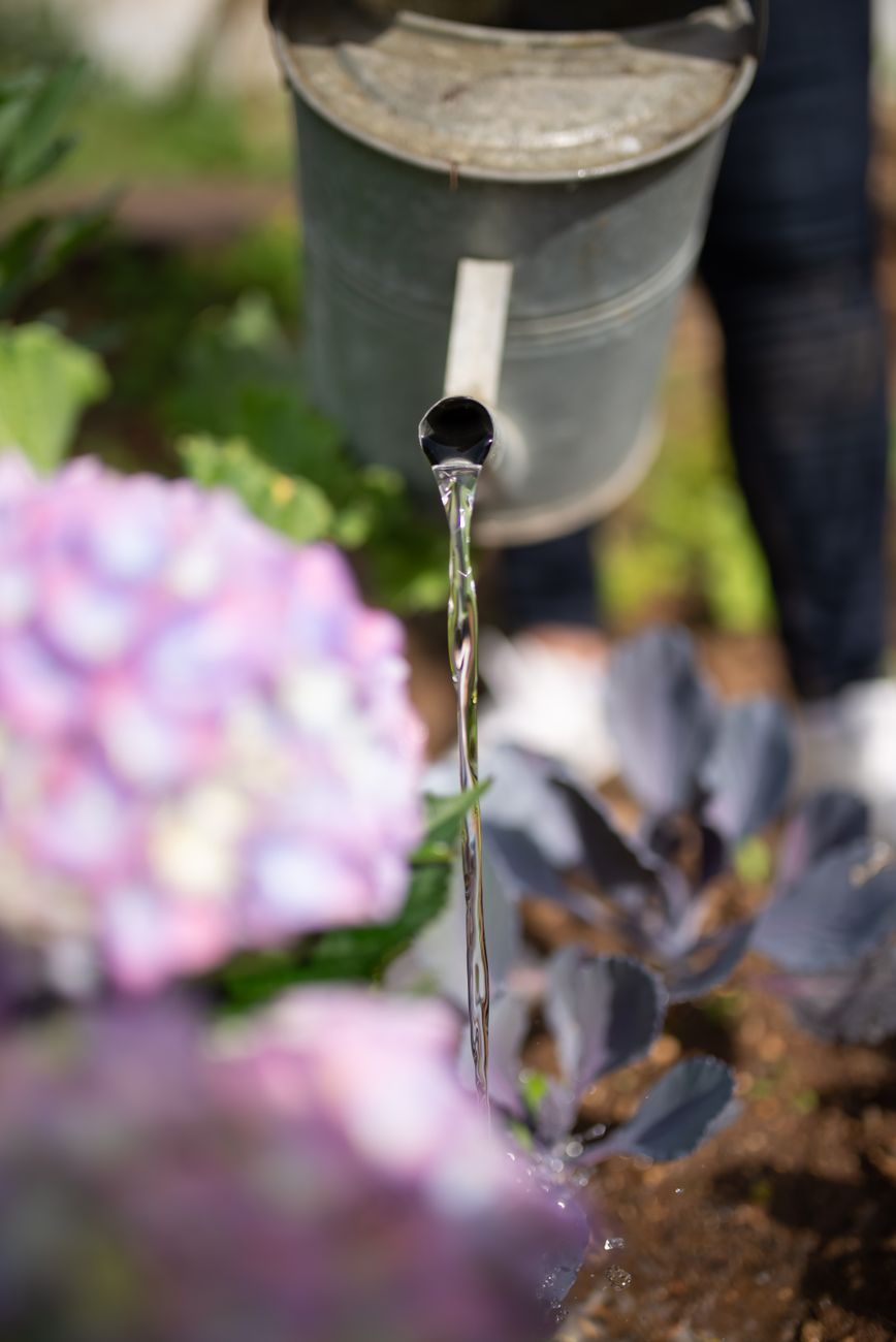 a person watering plants
